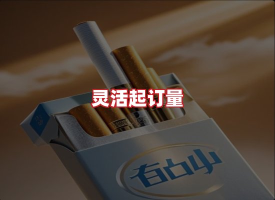 专业团队